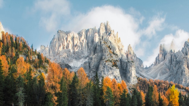 Dolomites mountain and autumn trees