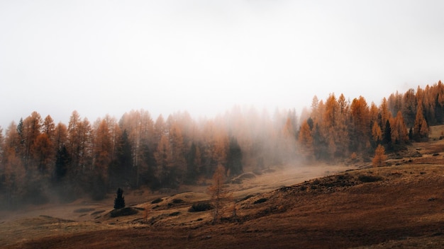 Le dolomiti avvolte dalla nebbia durante l'autunno