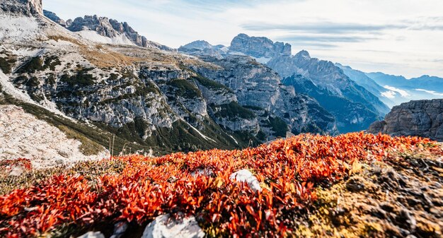 Dolomites Lavaredo Tre Cime South Tyrol Italy의 유명한 Three Peaks가 있는 Lavaredo 이탈리아 Dolomites의 세 봉우리