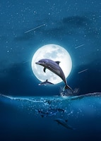 Dolphin jumping outside the ocean at full moon night  3d rendering