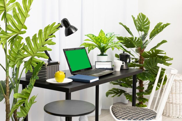 A domain computer workstation among potted plants with bright lighting the laptop is on the black