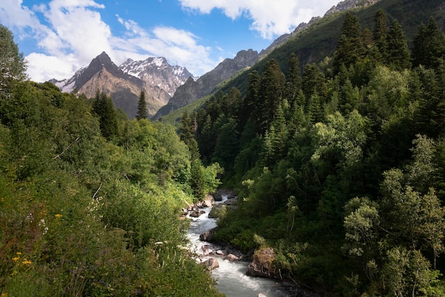 Photo dombay ulgen gorge in the north caucasus near the village of dombay karachay cherkessia russia