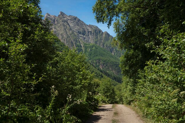 북카우카스 지방의 울겐 협곡 (Ulgen Gorge) 은 여름날 도마이 (Dombay) 마을 근처의 카라차이 (Karachay), 체르케시아 (Cherkessia), 러시아이다.