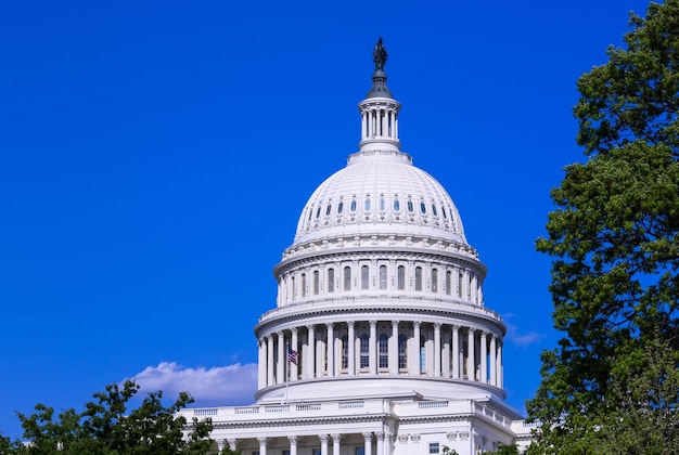 Dome of the Capitol building in Washington DC