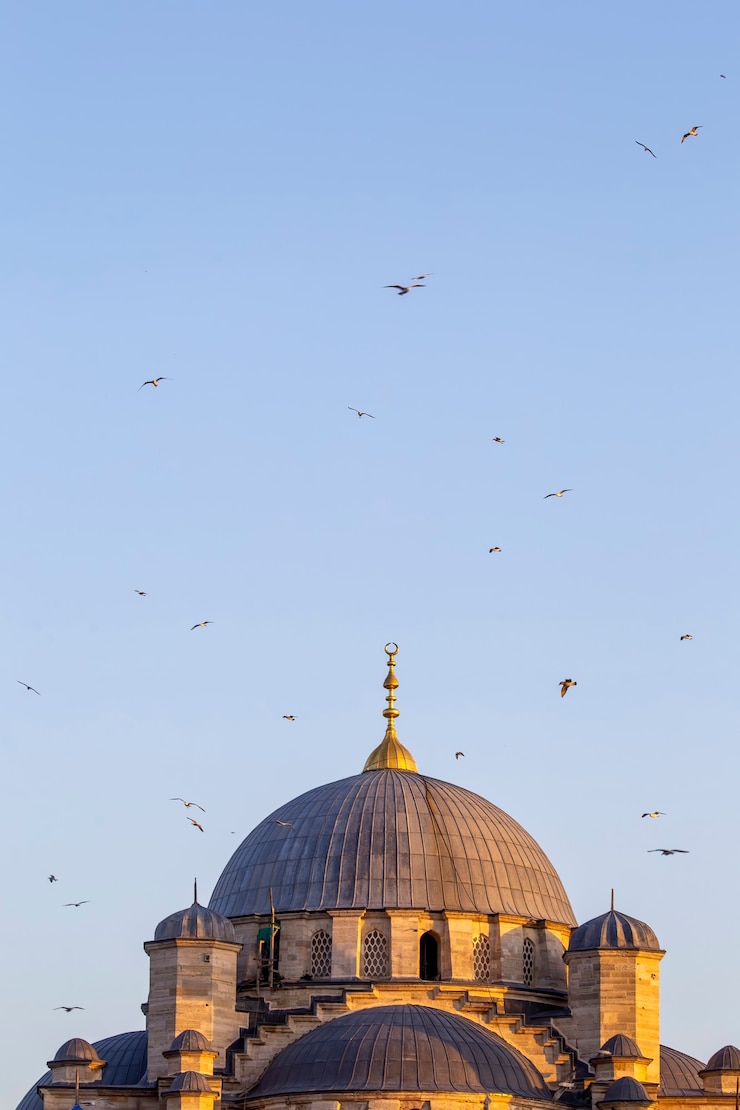 Photo トルコ、イスタンブールの空を飛ぶ鳥のモスクのドーム