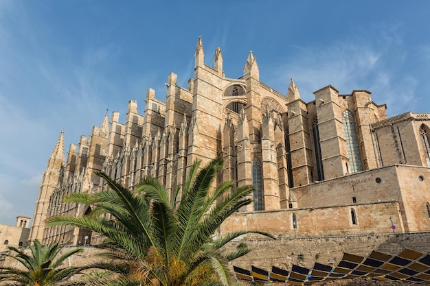 Dome of Palma de Mallorca Spain