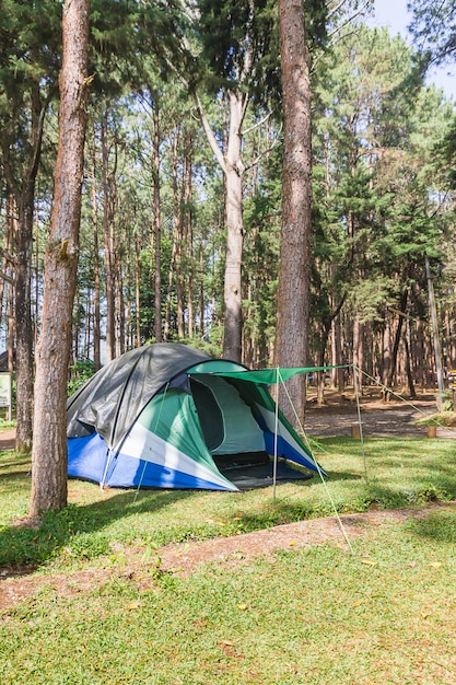 숲에서 야영하는 돔 텐트
