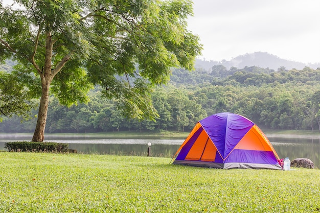 Dome tents camping in forest