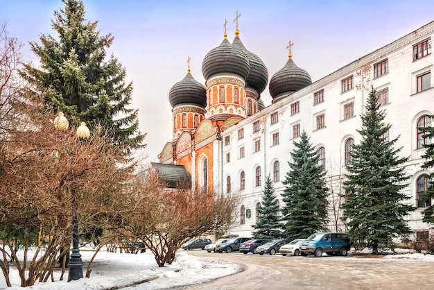 Domes of the Pokrovsky Cathedral winter Izmailovsky Park Bauman town Moscow