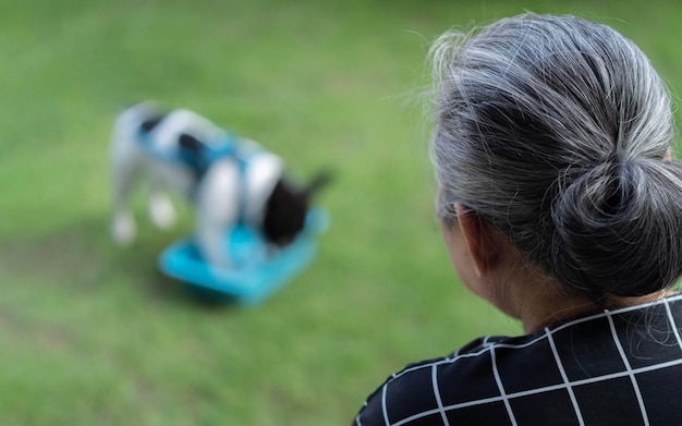 Domestic dog with asian owner enjoy urban outdoor lifestyle on summer vacation