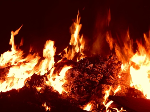 Обломки бытовых отходов горят в огне подробно