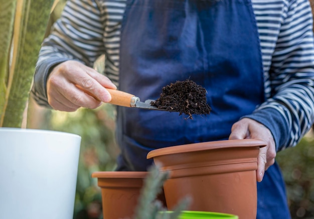 사진 새로운 비 에 식물 을 이식 하는 동안 가정 노동자 의 손