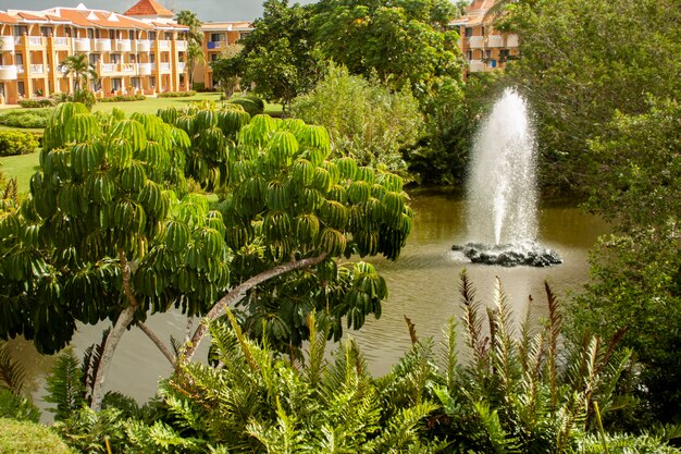 Dominican luxury garden in a luxury hotel in Bayahibe