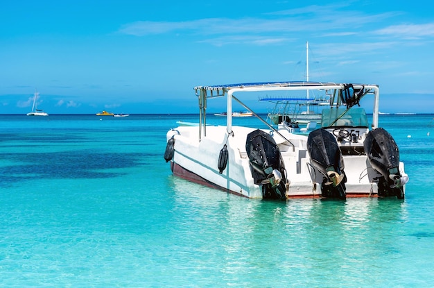 청록색 물과 야자수가 있는 도미니카 공화국의 아름다운 카리브 해안