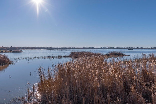 Donana Nationaal Park in de provincie Huelva