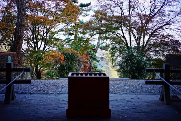 Photo donation box at shrine against trees