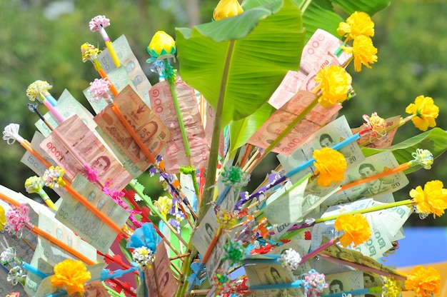 Photo donation merit money tree at thai temple.