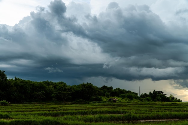 donder stormhemel Regenwolken