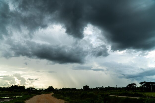 donder stormhemel Regenwolken