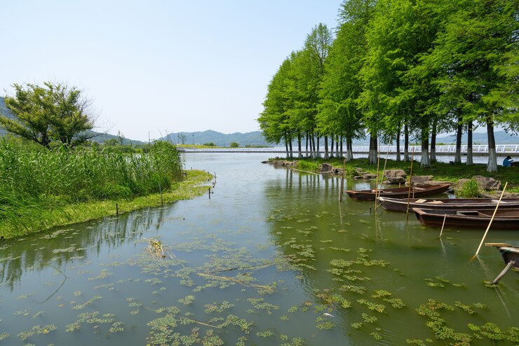 Dongqian Lake Wetland Park, 닝보, 중국