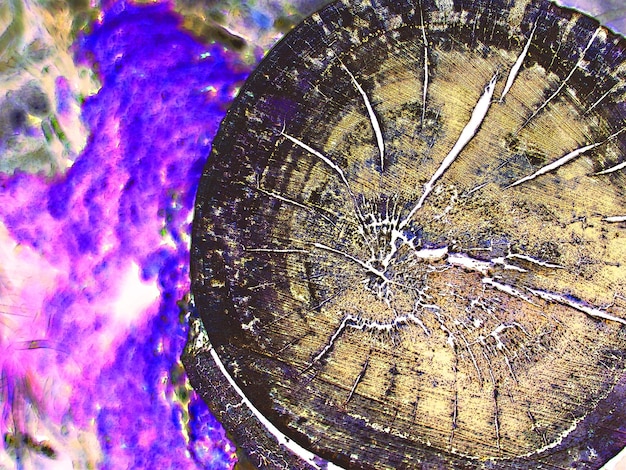 Donker gesneden boomstam textuur achtergrond oppervlak met oud natuurlijk patroon