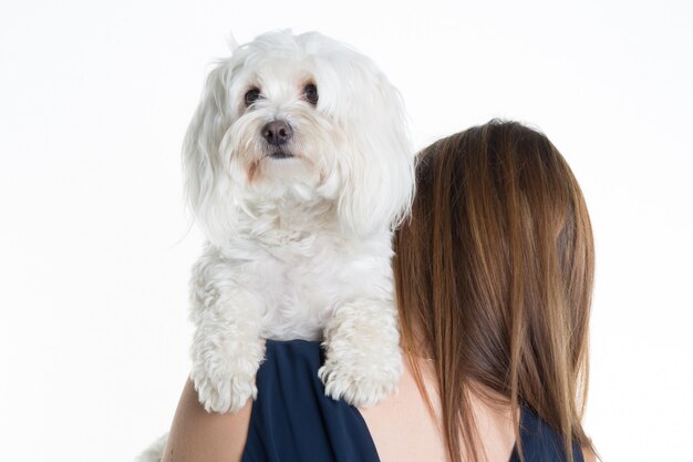 Donkerbruin meisje dat haar hond kust die op witte achtergrond wordt geïsoleerd