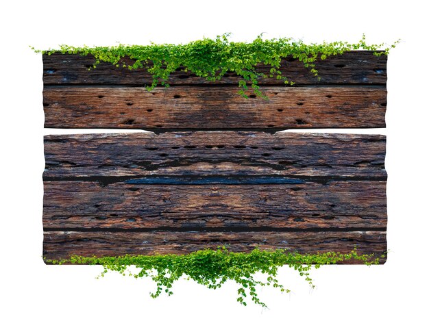 Donkerbruine antieke plank frame achtergrond met tropische bladeren en klimende wijnstokken aan de rand van de plank