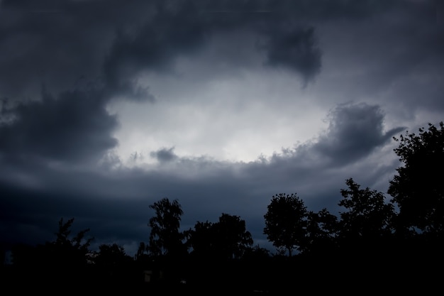 Donkere dramatische donkere hemel en zwarte silhouetten van bomen