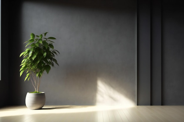 donkere lege kamer met plant in pot over betonnen muur en houten vloer achtergrond, 3D-rendering in mini