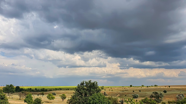 Donkere lucht boven een geel veld. Er komt een onweersbui aan. Een natuurverschijnsel.