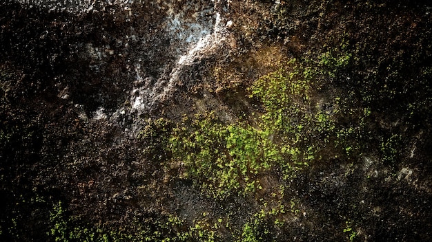 Donkere oude muur textuur achtergrond muren vol krassen en mos