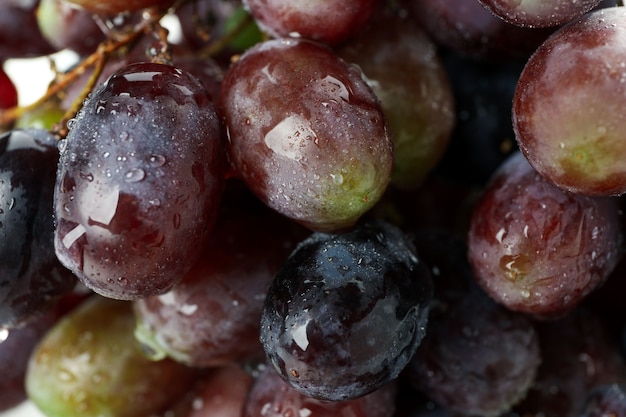 Donkere rijpe druif met waterdruppels, close-up