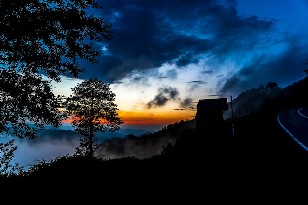 Donkere silhouetten van bomen en verbazingwekkende bewolkte lucht bij zonsondergang aan de Zwarte Zee, Turkije