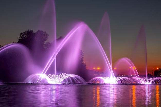 Donkere zomernacht. Kleurenfontein en lasershow