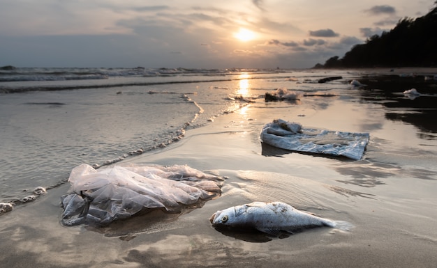 Dood vis en plastic vervuiling omgeving.