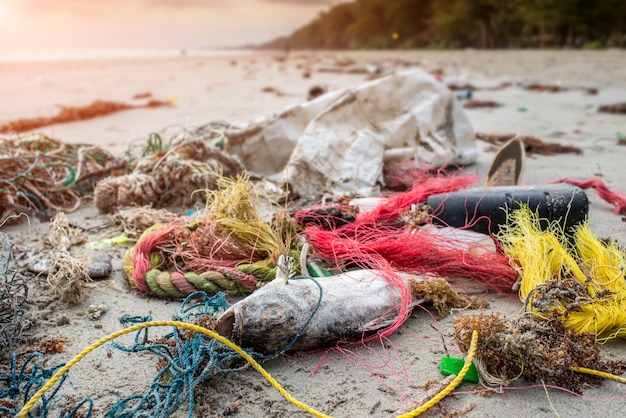 Doodsvissen op het strand met plastic afval