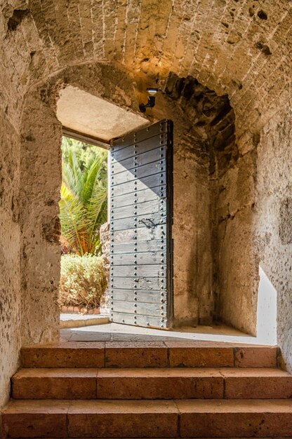 Photo a door in a castle with a palm tree in the background