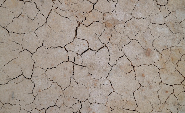 Door de droogte is de grond gebarsten. Het droge seizoen zorgt ervoor dat de grond uitdroogt en barst