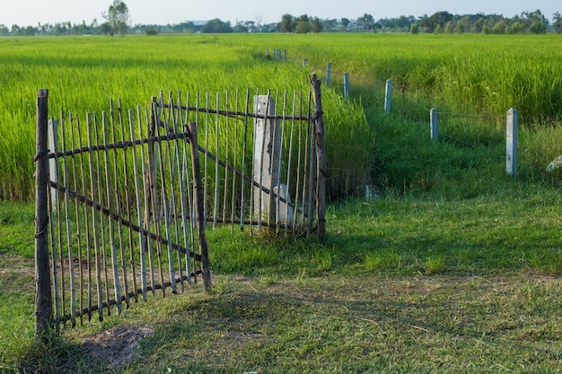 Door to enter to farm