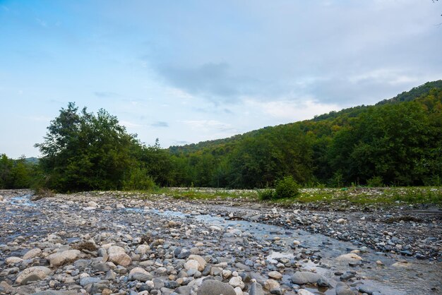 Door het bos stroomt een rivier en de bergen zijn zichtbaar.