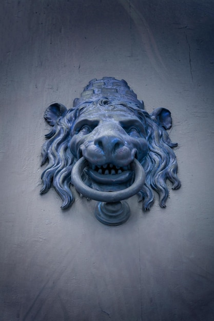 Door knocker lions head