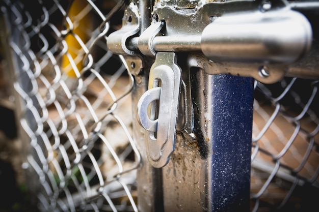 Door latches with an old metal fence net door.