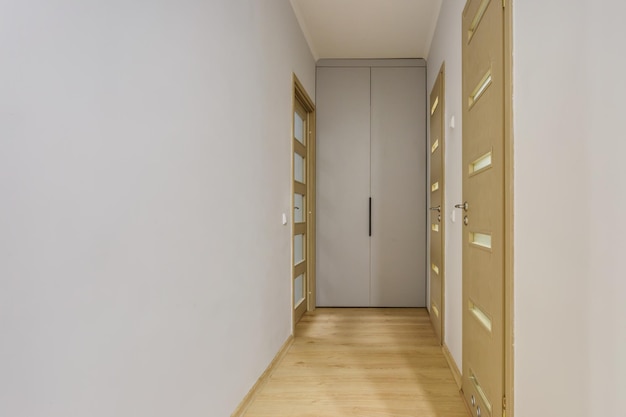 Дверь в современной прихожей коридора в квартирах