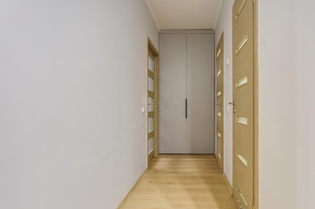 Door in modern entrance hall of corridor in apartments