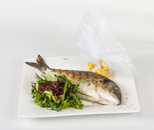 Dorada vis met salade op de witte plaat Studio shot