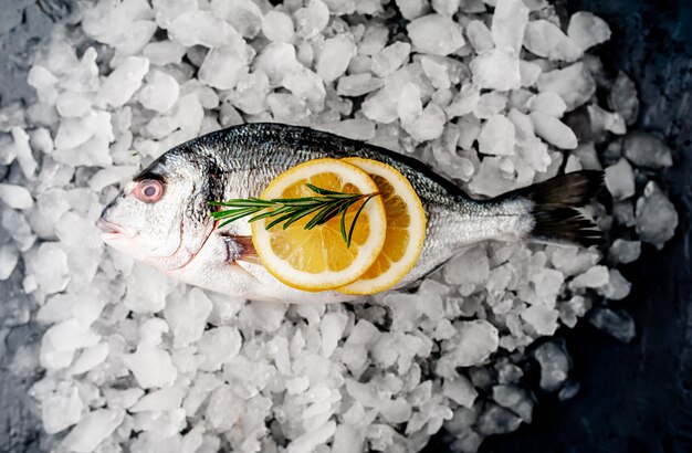 dorado fish on ice, on a stone background