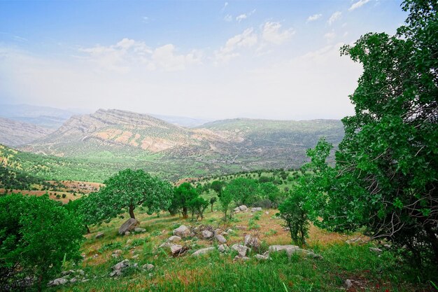 Photo dore village barzan area erbil