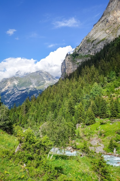 Vanoise 국립 공원 고산 계곡, Savoie, 프랑스 알프스에서 Doron 강