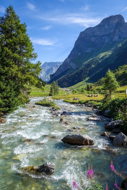 Doron rivier in Vanoise National Park alpine vallei, Savoie, Franse Alpen