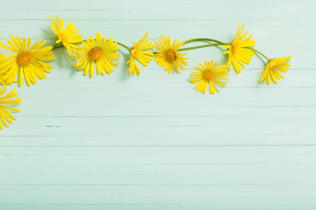 Doronicum flowers on painted green  wooden